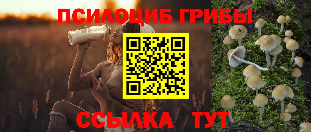 Галлюциногенные грибы MAGIC MUSHROOMS Соль-Илецк